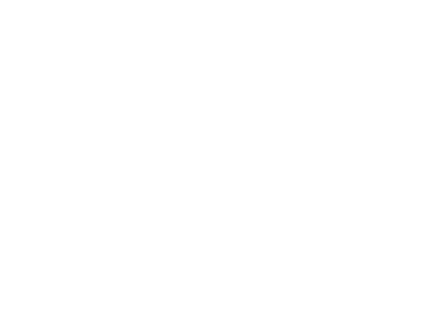 Induamerica